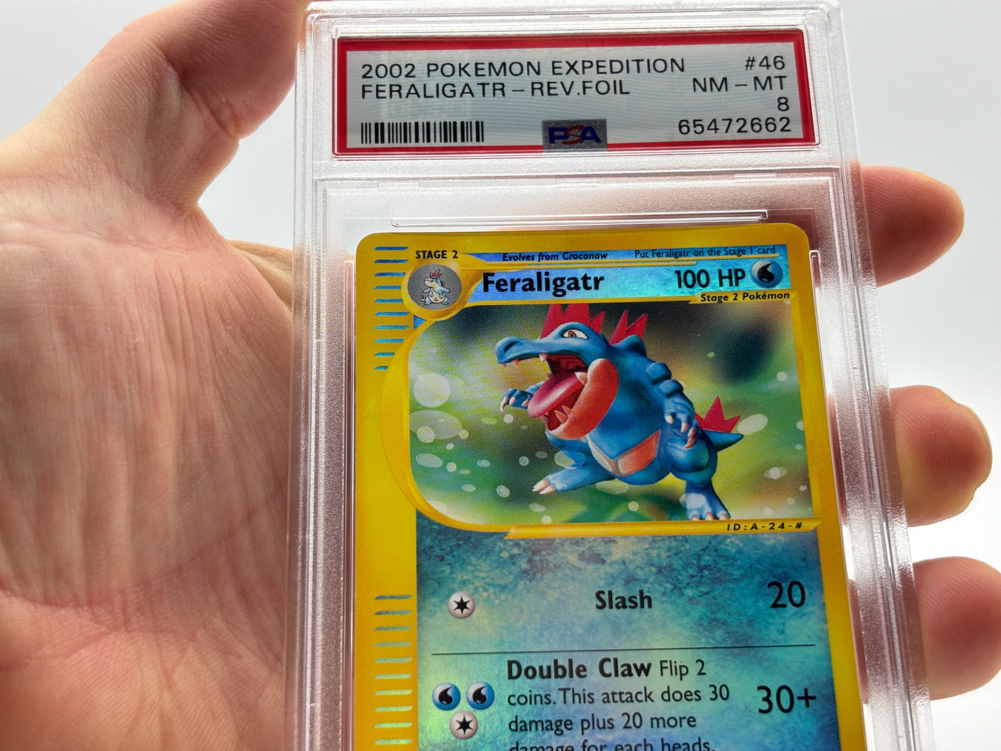 PSA 8 - Feraligatr Reverse Holo - Expedition #46