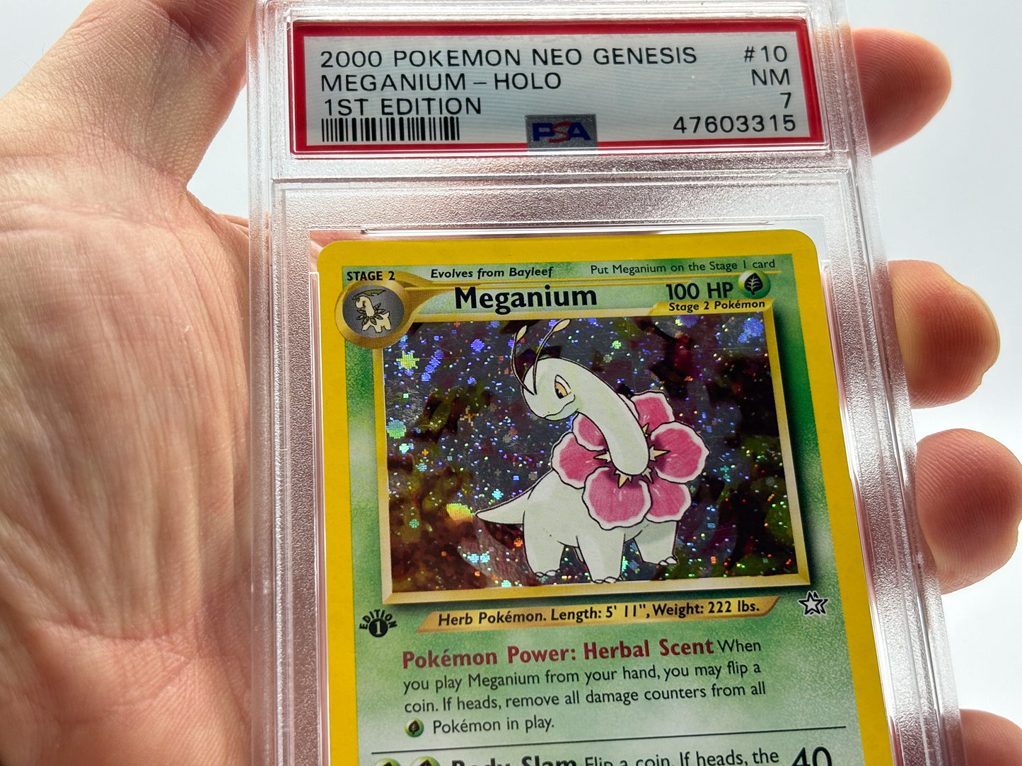 PSA 7 - 1st Edition Meganium Holo - Neo Genesis #10